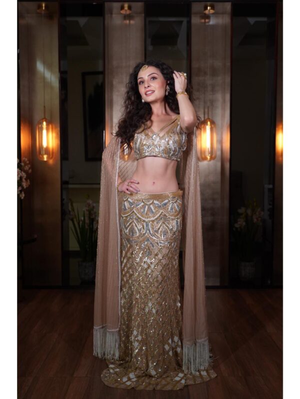 Mehul Gupta - A Golden, silver & white sequins & cut dana skirt & blouse