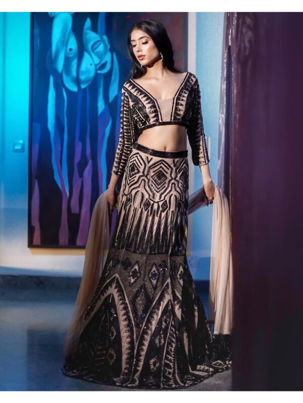 Mehul Gupta - A black sequins & cut dana embroidered nude lehenga skirt
