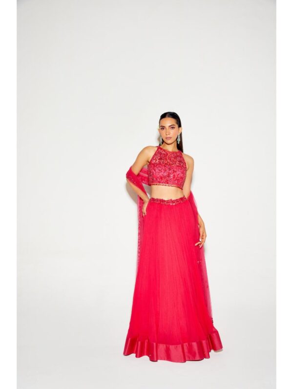 Sanya Gulati - HOT PINK TONAL BLOUSE AND PLEATED LEHENGA