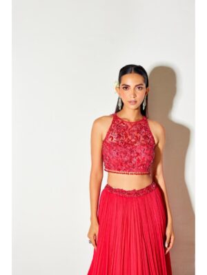 Sanya Gulati - HOT PINK TONAL BLOUSE AND PLEATED LEHENGA - Image 4