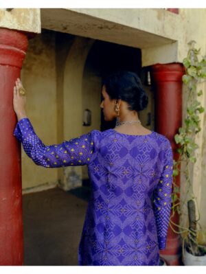 Drishti & Zahabia - IRIS PURPLE CO-ORD SET - Image 2