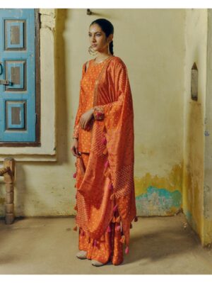 Drishti & Zahabia -RUST KURTA SET - Image 2