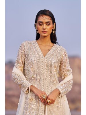 Nidhika Shekhar - UTSAV CHAMAKATE JALSAA LEHENGA SET - Image 3