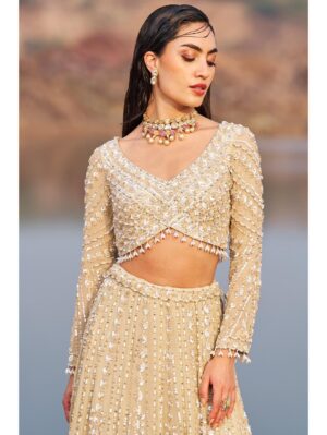 Nidhika Shekhar - BAHAAR E JALSAA SUNEHRI LEHENGA SET - Image 2