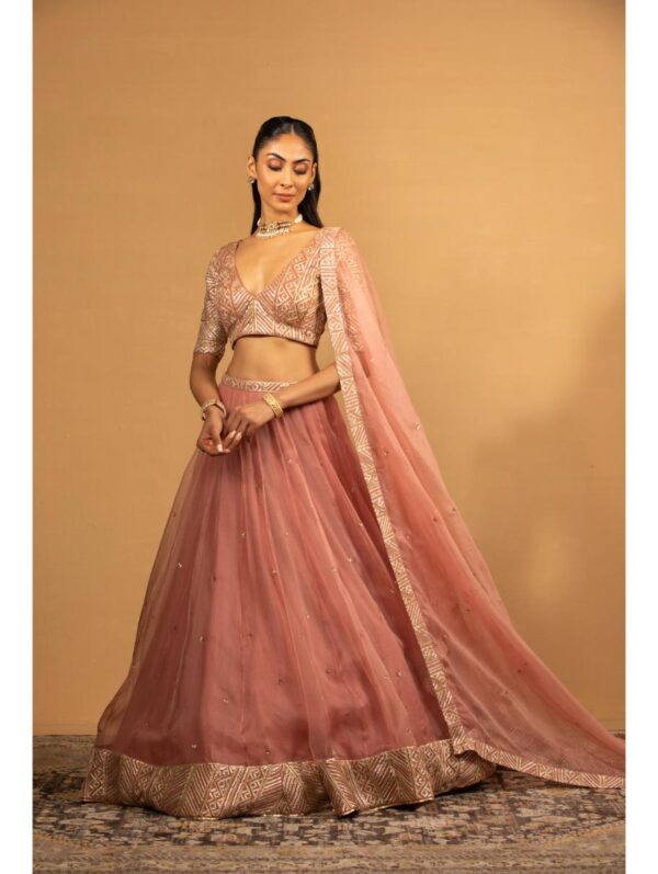 Esha Kaul - ONION PINK LEHENGA SET