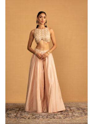 Esha Kaul - PEACH SHARARA SET - Image 2