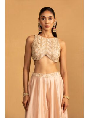 Esha Kaul - PEACH SHARARA SET - Image 3
