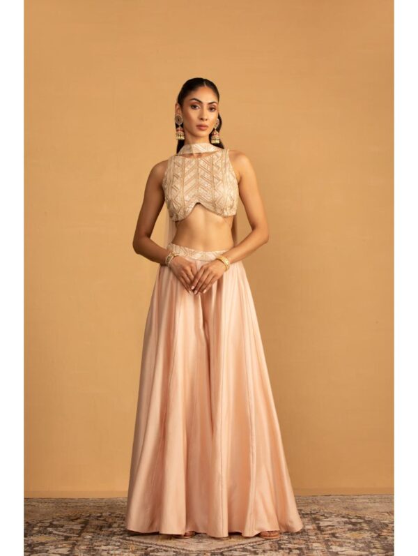 Esha Kaul - PEACH SHARARA SET