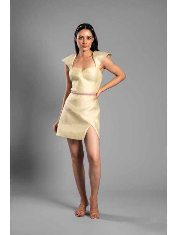 Aastha Sood - Ivory brocade dress