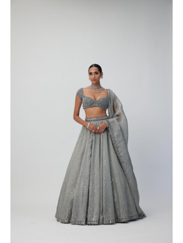 Vvani Vats - Crystal Grey Sequins Scattered Organza Lehenga Set