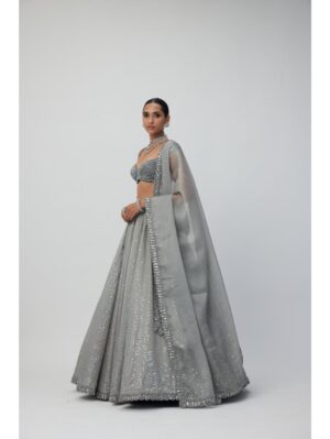 Vvani Vats - Crystal Grey Sequins Scattered Organza Lehenga Set - Image 3
