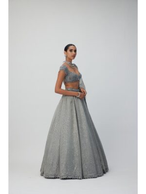 Vvani Vats - Crystal Grey Sequins Scattered Organza Lehenga Set - Image 4