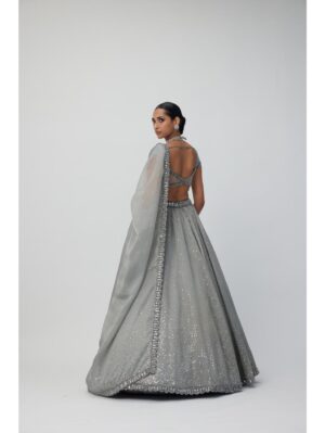 Vvani Vats - Crystal Grey Sequins Scattered Organza Lehenga Set - Image 5