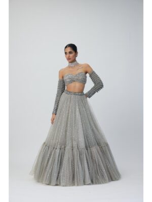 Vvani Vats - Crystal Grey Tulle Lehenga Set - Image 2