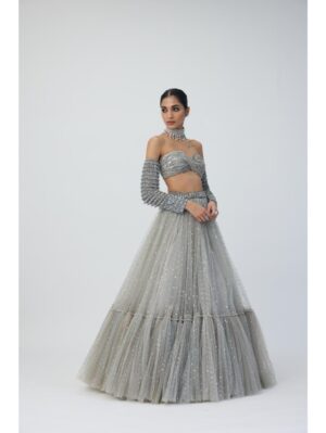 Vvani Vats - Crystal Grey Tulle Lehenga Set - Image 4
