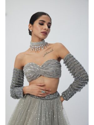 Vvani Vats - Crystal Grey Tulle Lehenga Set - Image 5