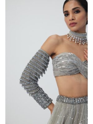 Vvani Vats - Crystal Grey Tulle Lehenga Set - Image 6