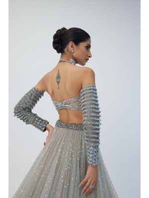 Vvani Vats - Crystal Grey Tulle Lehenga Set - Image 7
