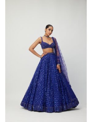 Vvani Vats - Cocktail Blue Sequins Embroidered Lehenga Set - Image 3