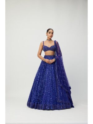 Vvani Vats - Cocktail Blue Sequins Embroidered Lehenga Set - Image 5