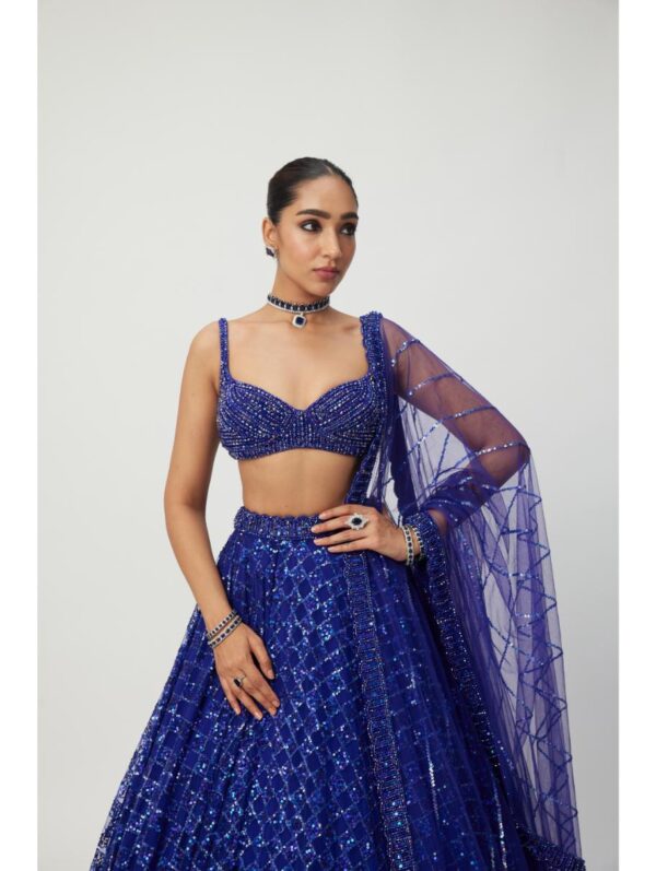 Vvani Vats - Cocktail Blue Sequins Embroidered Lehenga Set