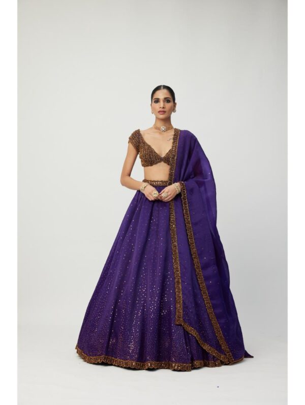 Vvani Vats - Royalty Purple Sequins Scattered Lehenga Set