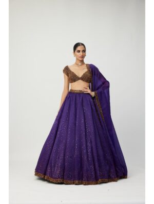 Vvani Vats - Royalty Purple Sequins Scattered Lehenga Set - Image 2