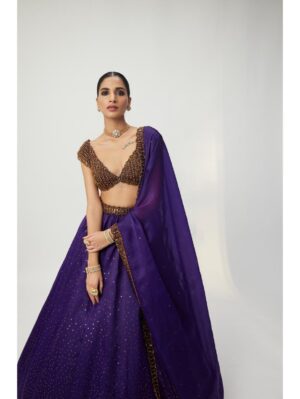 Vvani Vats - Royalty Purple Sequins Scattered Lehenga Set - Image 3