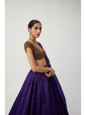 Vvani Vats - Royalty Purple Sequins Scattered Lehenga Set - Image 4