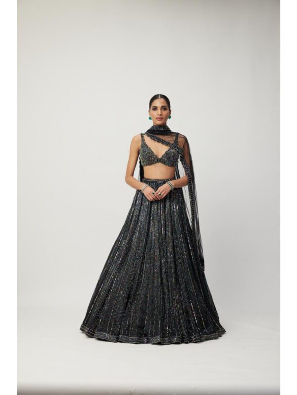 Vvani Vats - Black crystal Linear Embroidered Lehenga Set