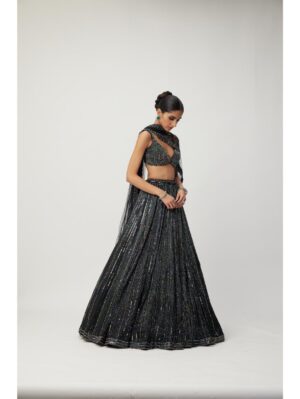 Vvani Vats - Black crystal Linear Embroidered Lehenga Set - Image 2