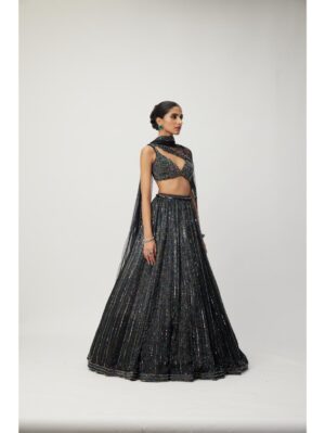Vvani Vats - Black crystal Linear Embroidered Lehenga Set - Image 3