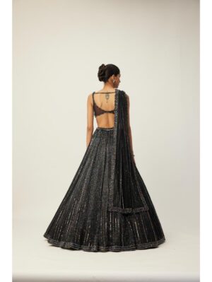 Vvani Vats - Black crystal Linear Embroidered Lehenga Set - Image 4