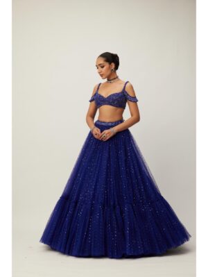 Vvani Vats - cocktail Blue Sequins Scattered Tulle Lehenga Set - Image 3