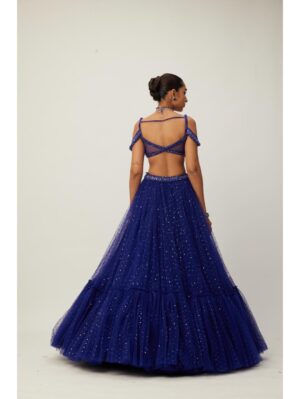 Vvani Vats - cocktail Blue Sequins Scattered Tulle Lehenga Set - Image 4