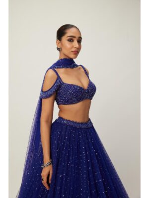 Vvani Vats - cocktail Blue Sequins Scattered Tulle Lehenga Set - Image 6