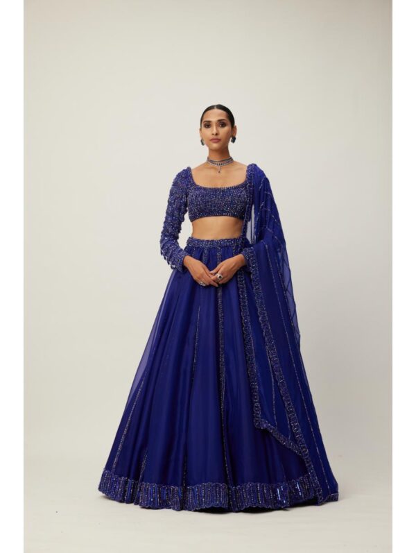 Vvani Vats - Cocktail Blue Organza Lehenga Set