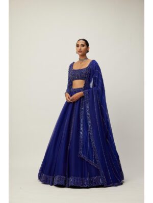 Vvani Vats - Cocktail Blue Organza Lehenga Set - Image 2