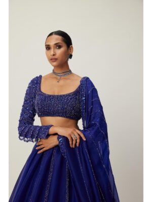 Vvani Vats - Cocktail Blue Organza Lehenga Set - Image 3