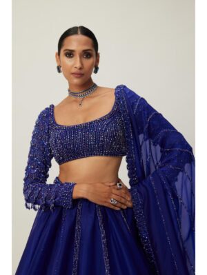 Vvani Vats - Cocktail Blue Organza Lehenga Set - Image 4