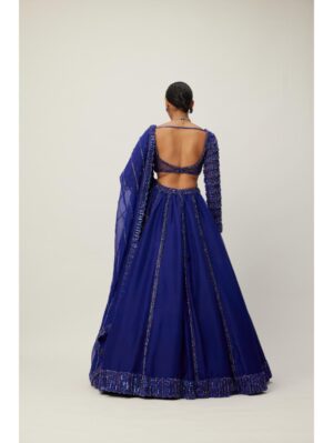 Vvani Vats - Cocktail Blue Organza Lehenga Set - Image 5