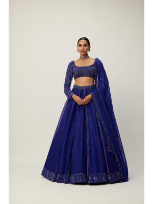 Vvani Vats - Cocktail Blue Organza Lehenga Set - Image 6