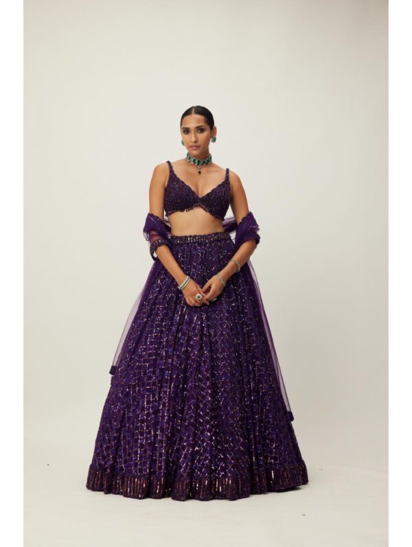 Vvani Vats - Royalty Purple Crystal Embroidered Lehenga Set