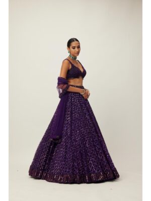 Vvani Vats - Royalty Purple Crystal Embroidered Lehenga Set - Image 2
