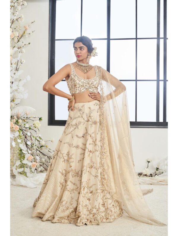 Disha Muchhala - PARUL