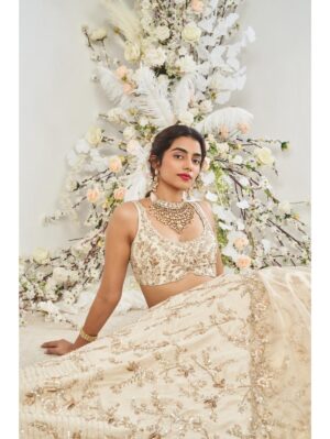 Disha Muchhala - PARUL - Image 2