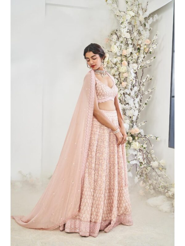 Disha Muchhala - MEHEL