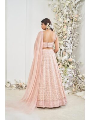 Disha Muchhala - MEHEL - Image 3