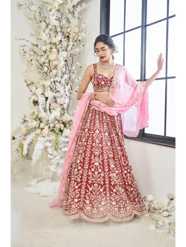 Disha Muchhala - MIRALI