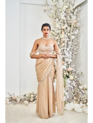 Disha Muchhala - BEIGE SAREE - Image 2